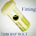 Fitting--720B BSP BOLT